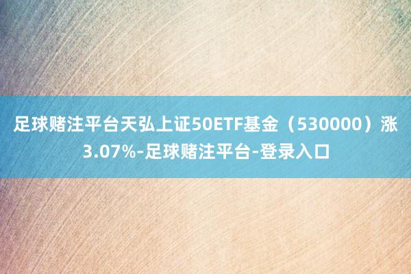 足球赌注平台天弘上证50ETF基金(530000)涨3.07%-足球赌注平台-登录入口