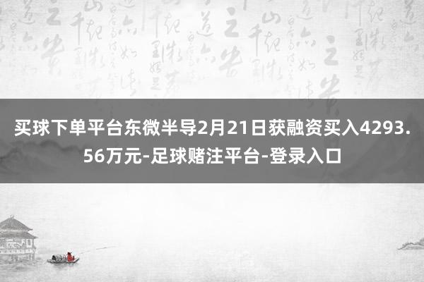 买球下单平台东微半导2月21日获融资买入4293.56万元-足球赌注平台-登录入口