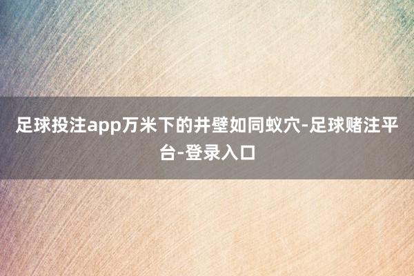 足球投注app万米下的井壁如同蚁穴-足球赌注平台-登录入口