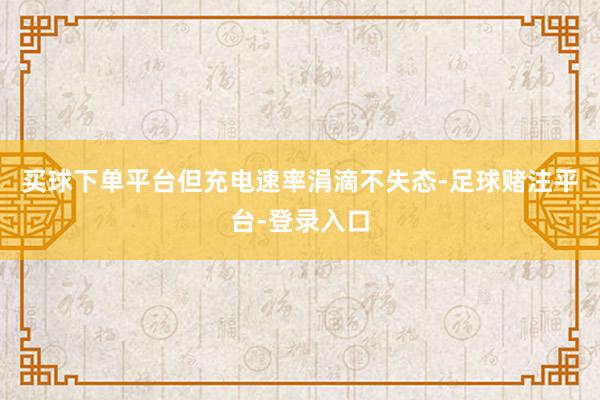 买球下单平台但充电速率涓滴不失态-足球赌注平台-登录入口