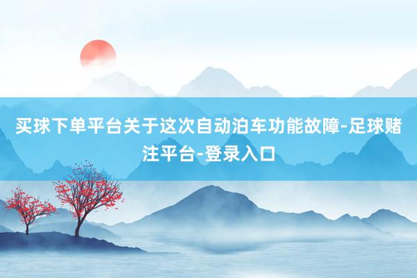 买球下单平台关于这次自动泊车功能故障-足球赌注平台-登录入口