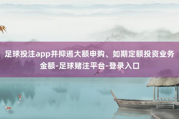 足球投注app并抑遏大额申购、如期定额投资业务金额-足球赌注平台-登录入口