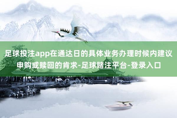 足球投注app在通达日的具体业务办理时候内建议申购或赎回的肯求-足球赌注平台-登录入口