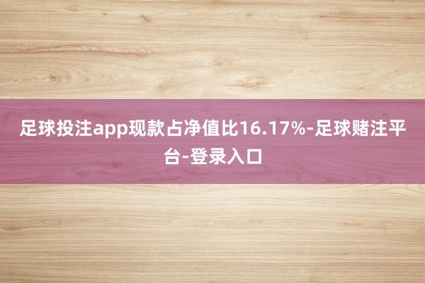 足球投注app现款占净值比16.17%-足球赌注平台-登录入口
