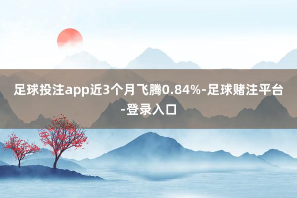 足球投注app近3个月飞腾0.84%-足球赌注平台-登录入口