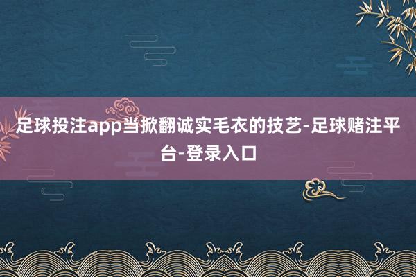 足球投注app当掀翻诚实毛衣的技艺-足球赌注平台-登录入口