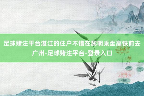 足球赌注平台湛江的住户不错在黎明乘坐高铁前去广州-足球赌注平台-登录入口