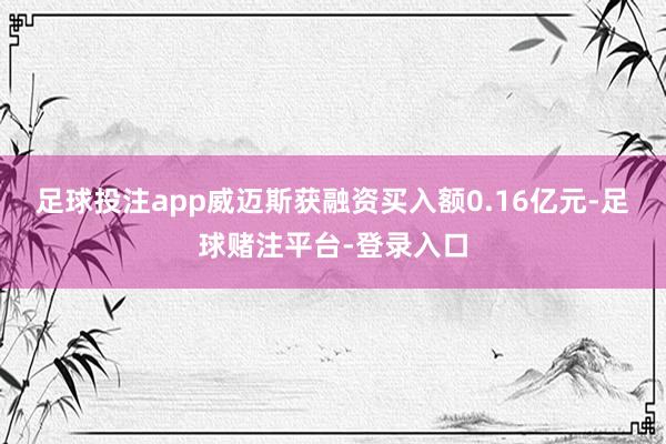 足球投注app威迈斯获融资买入额0.16亿元-足球赌注平台-登录入口
