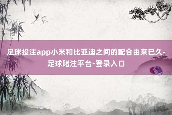 足球投注app小米和比亚迪之间的配合由来已久-足球赌注平台-登录入口