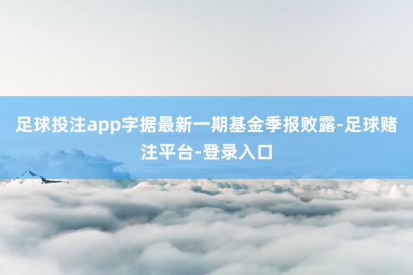 足球投注app字据最新一期基金季报败露-足球赌注平台-登录入口