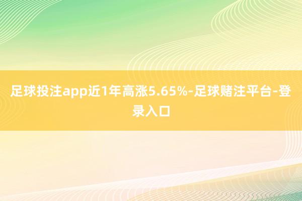 足球投注app近1年高涨5.65%-足球赌注平台-登录入口