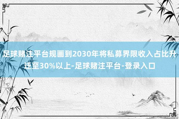 足球赌注平台规画到2030年将私募界限收入占比升迁至30%以上-足球赌注平台-登录入口