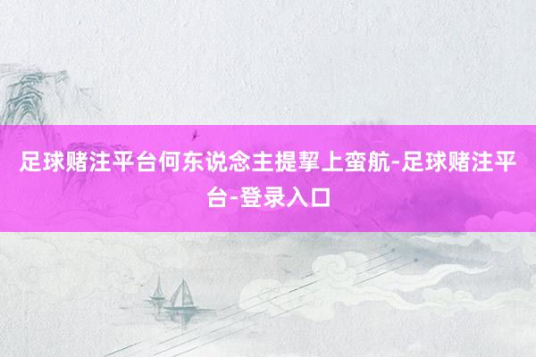 足球赌注平台何东说念主提挈上蛮航-足球赌注平台-登录入口