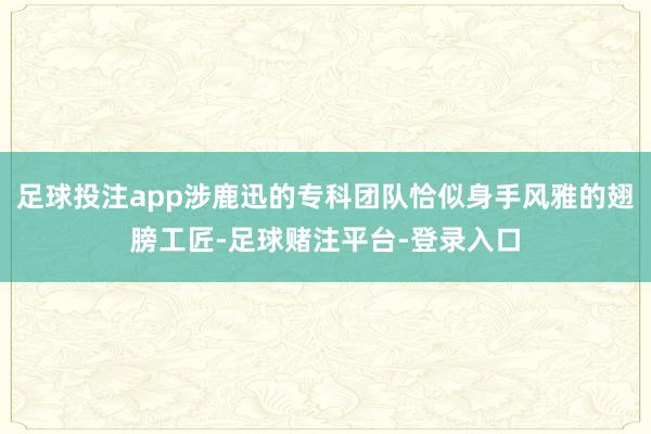 足球投注app涉鹿迅的专科团队恰似身手风雅的翅膀工匠-足球赌注平台-登录入口