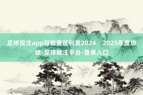 足球投注app可能蔓延刊发2024╱2025年度功绩-足球赌注平台-登录入口