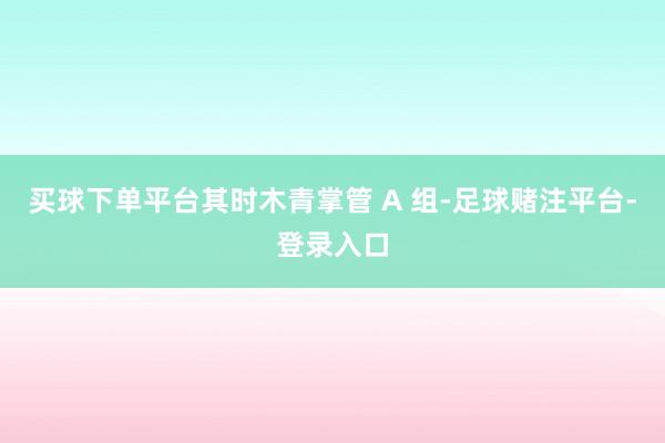 买球下单平台其时木青掌管 A 组-足球赌注平台-登录入口
