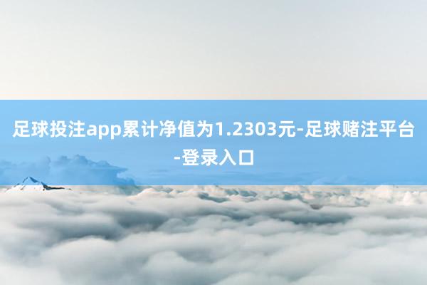 足球投注app累计净值为1.2303元-足球赌注平台-登录入口