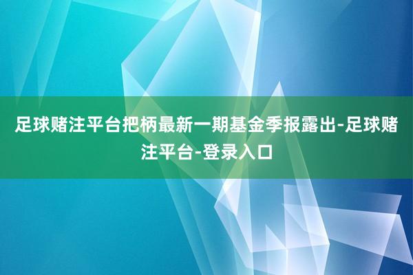 足球赌注平台把柄最新一期基金季报露出-足球赌注平台-登录入口