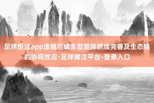 足球投注app追随后续车型矩阵抓续完善及生态链的协同效应-足球赌注平台-登录入口