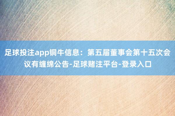 足球投注app铜牛信息：第五届董事会第十五次会议有缠绵公告-足球赌注平台-登录入口